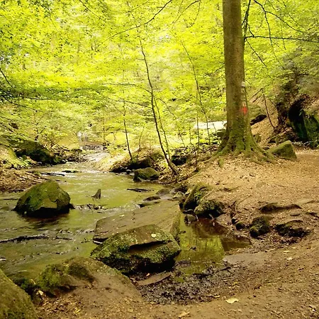 호텔 Express - By Ihg 3*